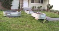 Are my neighbors growing food? also raised bed garden examples