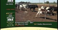 Superior Dairy Auction May 13, 2011