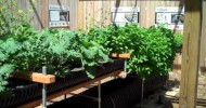 Hydroponics without the Chemical Fertilizers. Aquaponics without the Fish