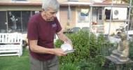 Organic gardening and Snails for lunch