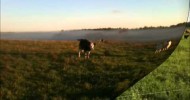 Narrated Tour of the Stoddart Family Farm