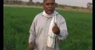 Subhash Sharma Ji on Organic Farming Part 1