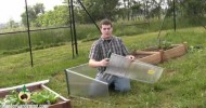 juwel Cold Frame