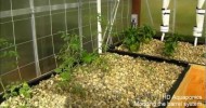 HD Aquaponics – Ep.20 – Modding the barrel aquaponics system, adding a venturi, solar water heater