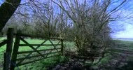 Natural World: British Countryside (BBC)