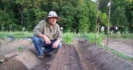 Raised Beds And Staggered Plantings – Vegetable Gardening