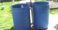 Aquaponic System and Raised Bed Garden