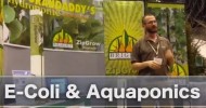 E-Coli and Aquaponics – Is there risk of E-Coli in Aquaponic farming? – Bright Agrotech