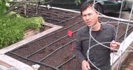 How to Plant 11 Tomato Plants in a Square Foot Raised Bed Garden