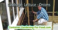 Time to Sow Some Seeds!  Growbags & Square Foot Garden – Cabbage – Lettuce – Onions