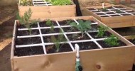 Square foot self irrigation grids in action