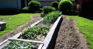 Successful Raised Bed Garden – Cement Block Construction