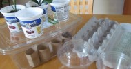 Reuse Toilet Paper Tubes, Food Containers for Seedlings Organic Gardening