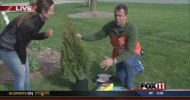 GDW8 Home Depot Gardening