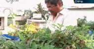 Man takes up the initiative of organic farming of vegetables