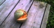 My melon exploded!