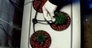 Marijuana Grow Closet Set up Hydroponic Master Kush