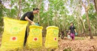 Japanese Organic Fertilizer (www.cambodiaorganic.com)