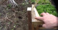 Cold Frame for Winter