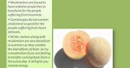 Health Benefits Of Cantaloupe