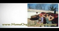 Organic Gardening – How to Prepare Organic Fertilizer