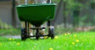 Organic lawn care tips: How to grow a green lawn organically