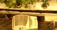 Homemade Hydroponics – How to grow monster cucumber plants using STG and 3.5″ net pots