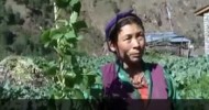 Organic Farming in Nepal