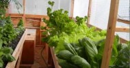 Portable Farms Aquaponics System