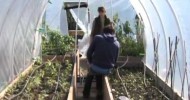 Rooftop Gardening is a Growing Trend in New York City