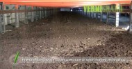 The advanced vermicomposting facility VERMIC 3.2 – worm composting