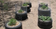 Homemade Self Watering Container with Tire(s) – Garden Construction