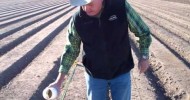 How to apply organic Weed and Feed Fertilizer for onions