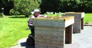 Raised Garden Beds