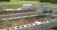 Cinder Block, raised bed, organic garden 5-31-13