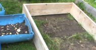 My new raised bed Herb garden