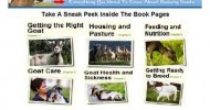 Raising Goats Guide – Facts About Goats