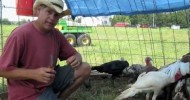 Clipping Turkey Wing Flight Feathers