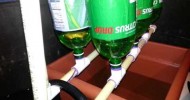 2 liter auto siphon hydroponic system