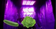 GrowAce.com – 14w Advance Spectrum LED Grow Light Hydroponics GrowAce.com