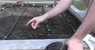 Installing a Drip System for Raised Beds