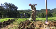 College of Marin Indian Valley Organic Farm and Garden.mov