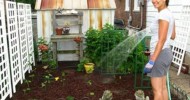 Urban Organic Gardening :  My Garden – May 2010 – BEXLIFE