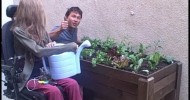 Accessible Wheelchair Elevated Raised Bed Container Garden from Start to Finish