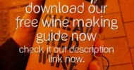 [How To Make Wine] – Easy Steps | At Home