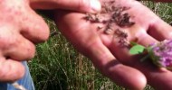 Joel Salatin On Saving The World With Grass Based Farming