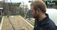 Organic aquaponics gardening Ebb and Flow hydroponics CERES org Australia posted by Youmanitas