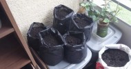 Balcony vegetable gardening with grow bags made from landscape cloth and glue gun