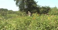 Beyond Organic Farming in Iowa, Part 1.mov