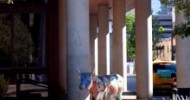 Cows on Parade: More Public Art for Austin